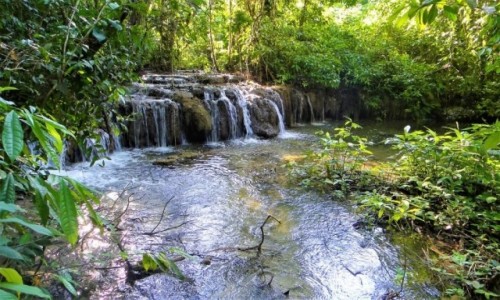 Zdjęcie MEKSYK / Chiapas / Lacandona / Lacandona - dżungla w Meksyku