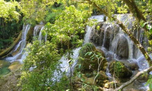 Zdjęcie MEKSYK / Chiapas / Lacandona / Meksykańska dżungla