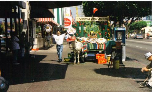 Zdjęcie MEKSYK / meksyk / Tijuana / O ośle ktory pozował jako zebra:)