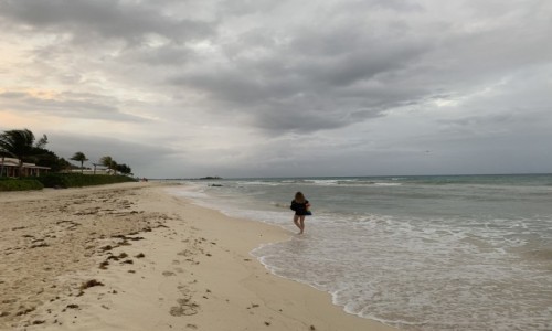 Zdjcie MEKSYK / Jukatan  / Playa del Carmen  / Spacerujc po pustych plaach Jukatanu 