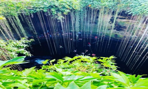 Zdjecie MEKSYK / Chichen Itza  / Cenota Ikil  / Kpiel w cenocie 