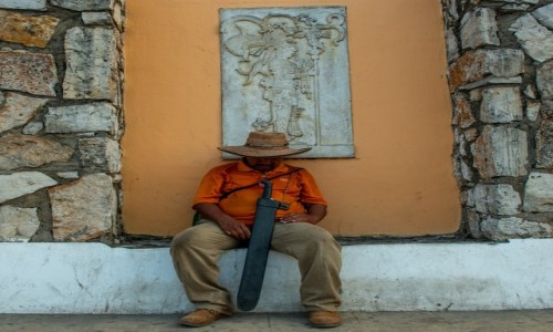 Zdj�cie MEKSYK / Chiapas / Pelenqe / Macho przysn��...