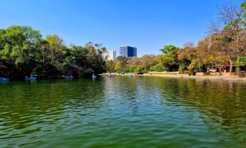 Zdjcie MEKSYK / Mexico City / Chapultepec / Park