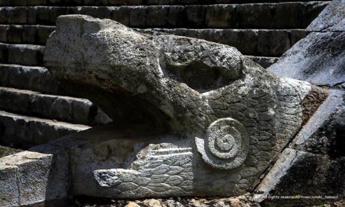 Zdjecie MEKSYK / Meksyk / Meksyk / Chichen Itza
