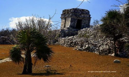 Zdjecie MEKSYK / Meksyk / Meksyk / Tulum