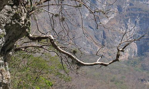 Zdjecie MEKSYK / Chiapas / Kanion del Sumidero / w kanionie 3