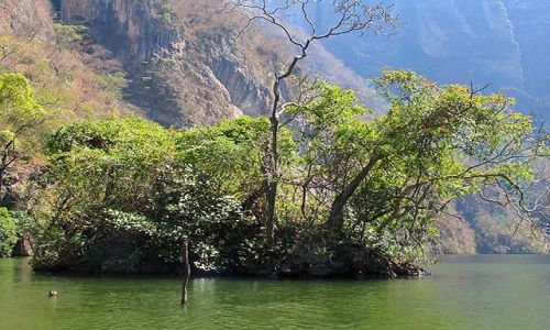 Zdjecie MEKSYK / Chiapas / Kanion del Sumidero / w kanionie 5