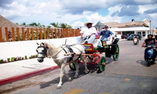 Zdjęcie MEKSYK / Cozumel / Cozumel / Taxi