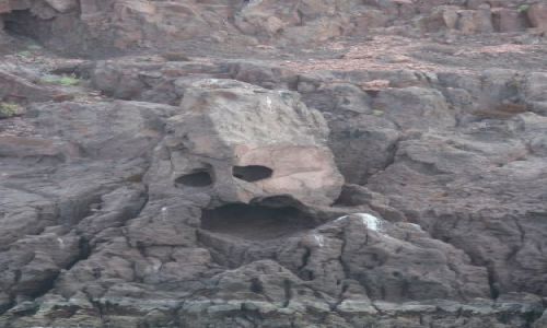 Zdjecie MEKSYK / Baja California / Isla Espiritu Santo / taka sobie skala