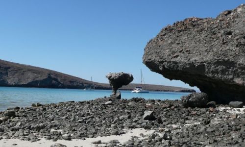 Zdjęcie MEKSYK / Meksyk / Morze Korteza / Katamaran w zatoce Ballandra