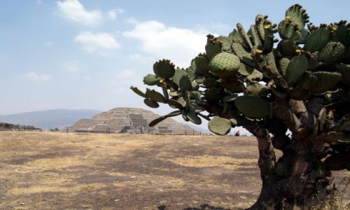 Zdjęcie MEKSYK / brak / Teotihuacan / Piramida Słońca, Teotihuacan