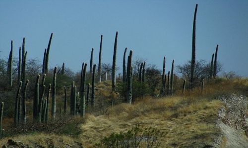 Zdjęcie MEKSYK / . / Cholula - Oaxaca / Sierra Madre