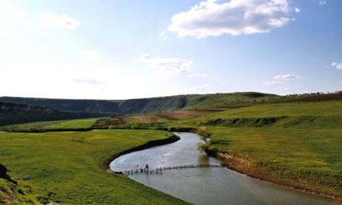 MODAWIA / brak / Trebujeni / MODAWIA