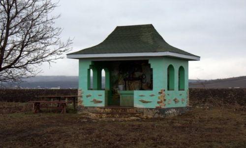Zdjecie MODAWIA / Bielce / trasa / Modawia - kraj warty poznania