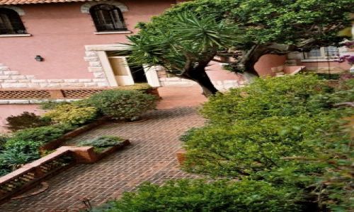 Zdjecie MONAKO / Lazurowe Wybrzeże / Monaco - Monte Carlo / Lazurowe Wybrzeże