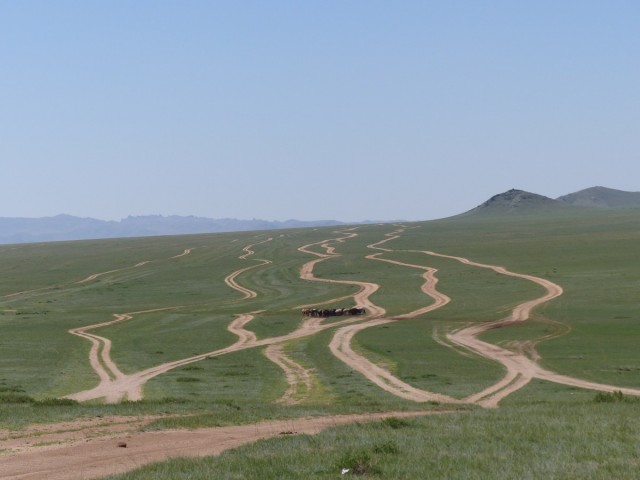 Zdj cia: step, centralna, stepem szerokim, MONGOLIA