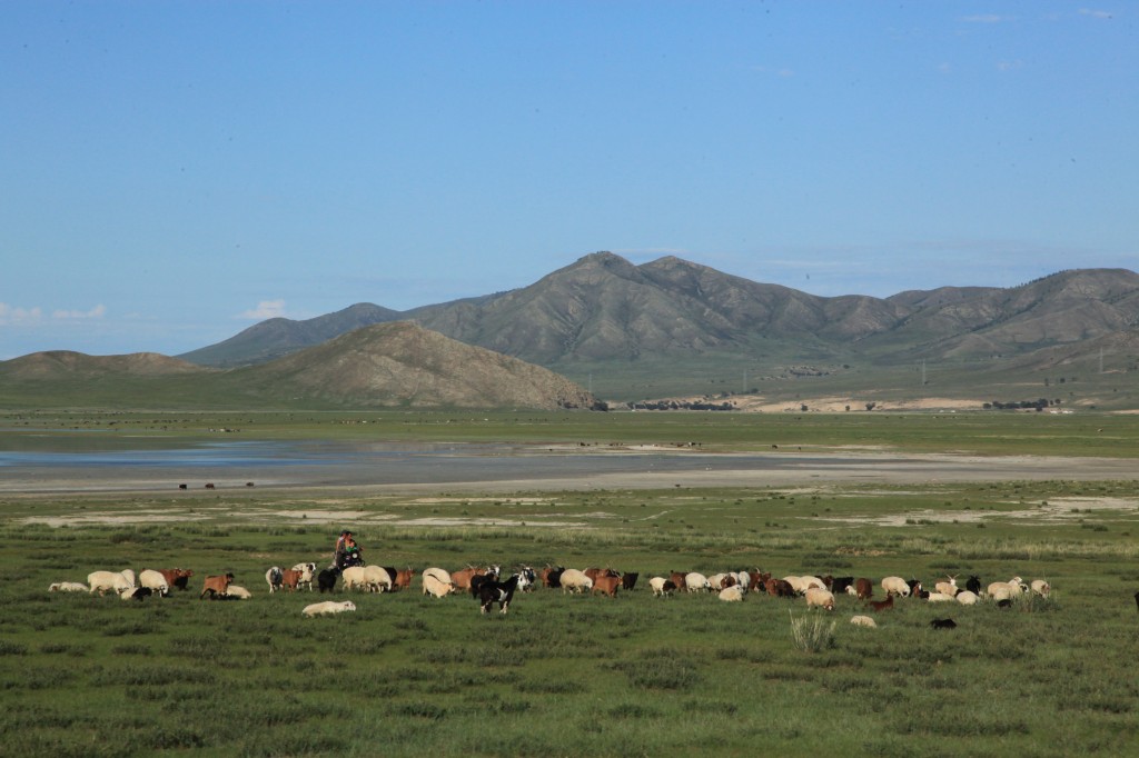 Zdjęcia: Droga do Ułan Bator, Darkhan, Po drodze..., MONGOLIA Zdjęcia: Droga do Ułan Bator, Darkhan, Po drodze..., MONGOLIA
