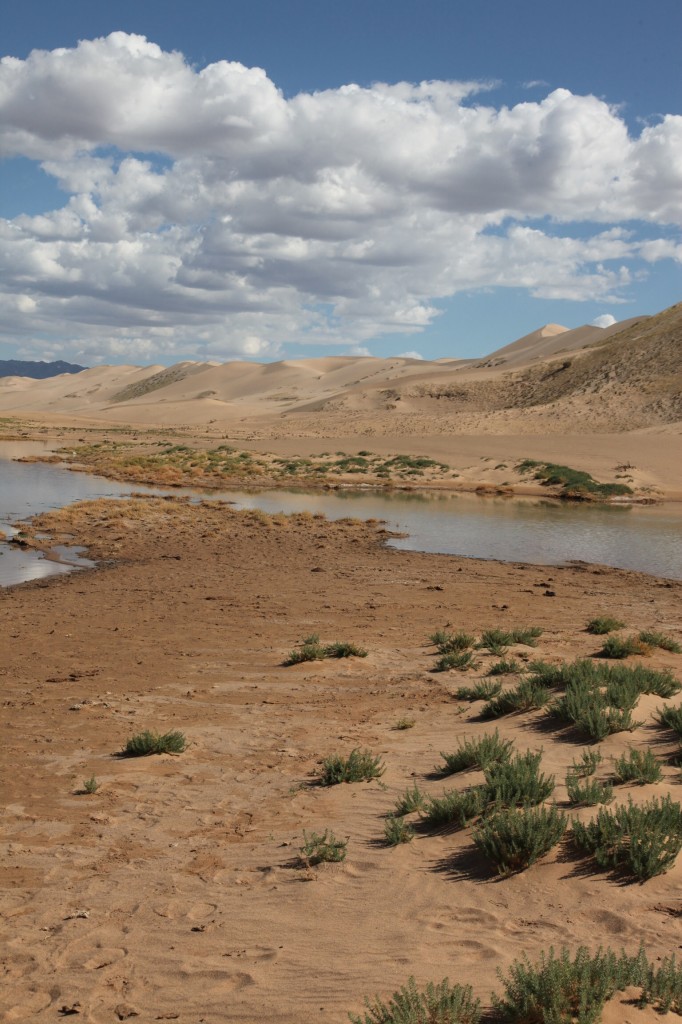 Zdjęcia: Gobi, Dalanzadgad, Trochę wody na pustyni, MONGOLIA Zdjęcia: Gobi, Dalanzadgad, Trochę wody na pustyni, MONGOLIA