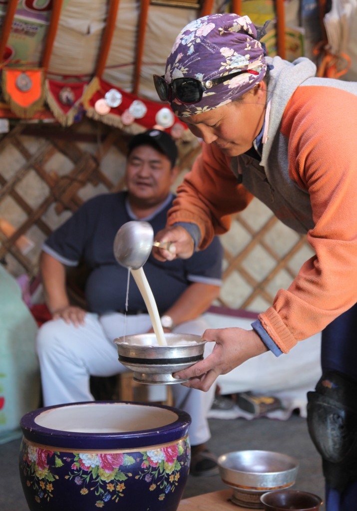 Zdjęcia: Gurvan Saikhan, w stepie, Dalanzadgad, Ajrag na powitanie, MONGOLIA Zdjęcia: Gurvan Saikhan, w stepie, Dalanzadgad, Ajrag na powitanie, MONGOLIA