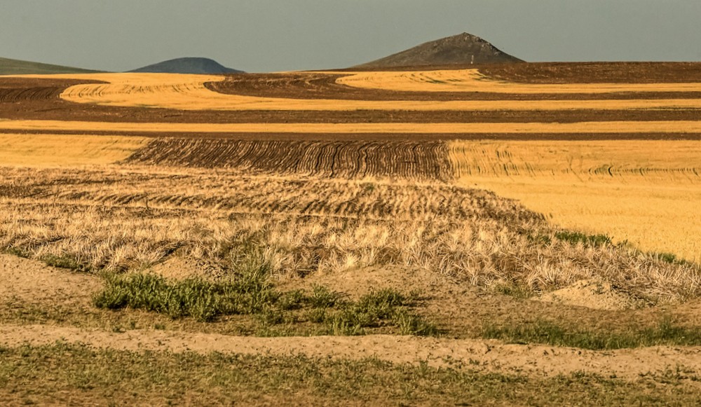 Zdjęcia: płn.Mongolia, płn. Mongolia, Pola., MONGOLIA Zdjęcia: płn.Mongolia, płn. Mongolia, Pola., MONGOLIA