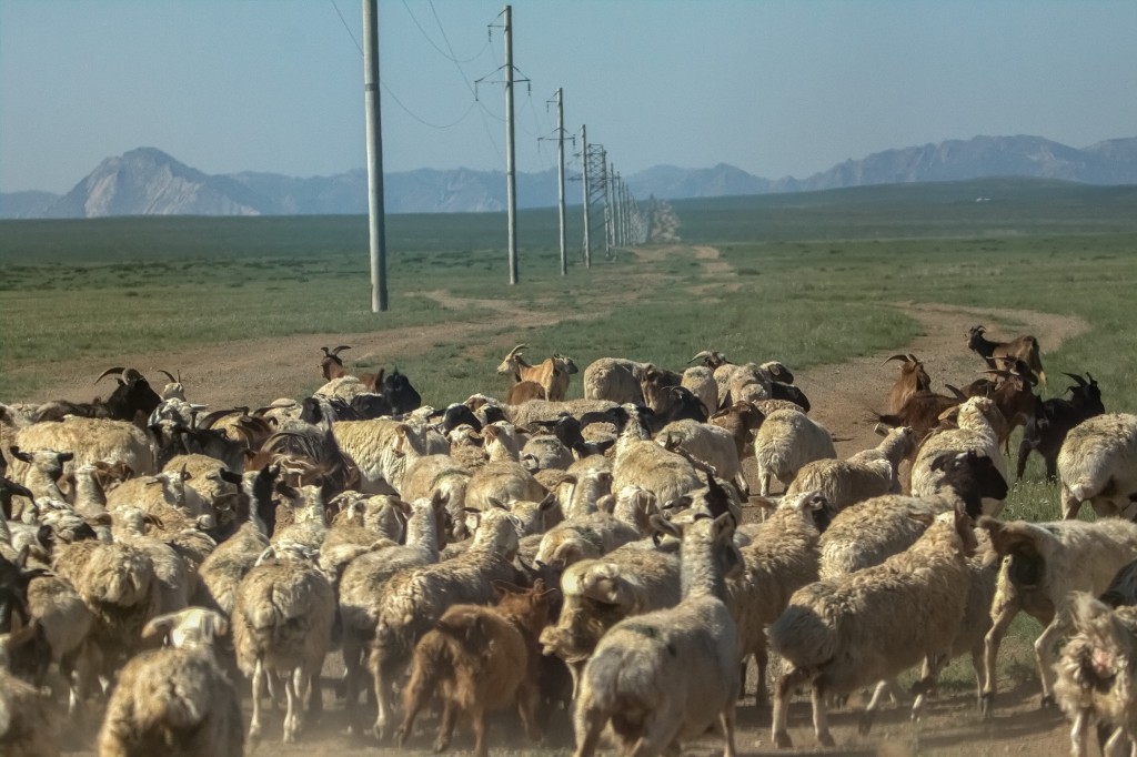Zdjęcia: płn.Mongolia, płn. Mongolia, Tradycja i nowoczesność..., MONGOLIA Zdjęcia: płn.Mongolia, płn. Mongolia, Tradycja i nowoczesność..., MONGOLIA