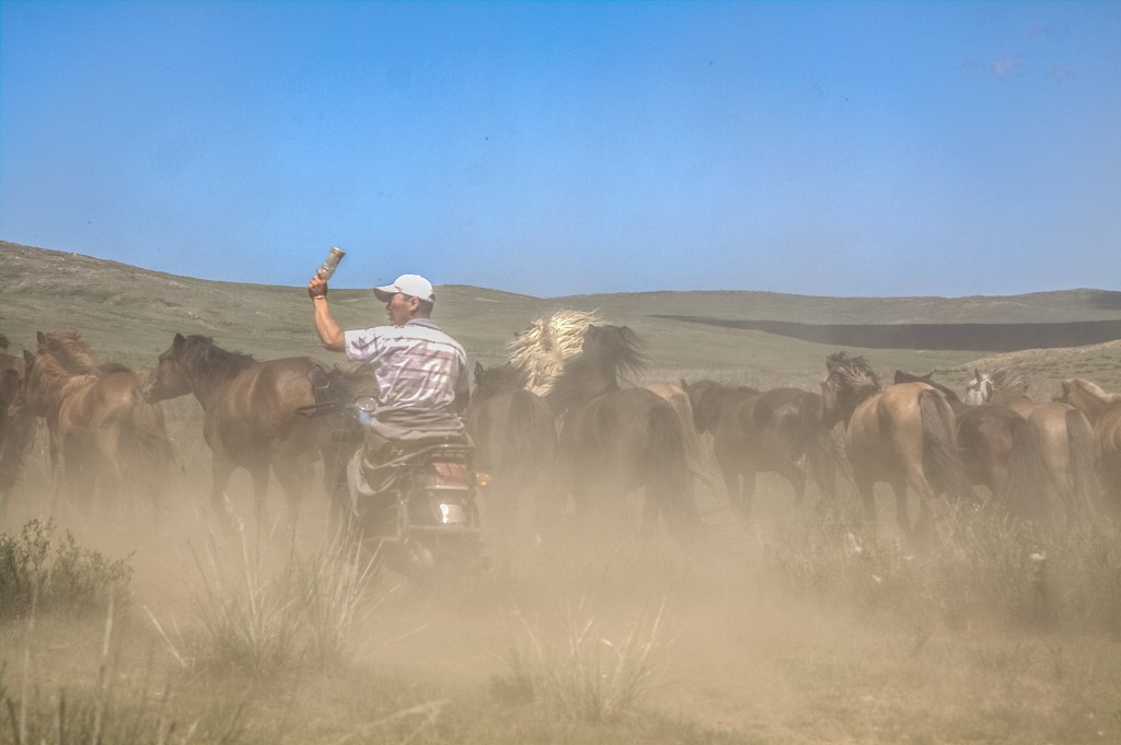 Zdjęcia: płn.Mongolia, płn. Mongolia, Pasterz..., MONGOLIA Zdjęcia: płn.Mongolia, płn. Mongolia, Pasterz..., MONGOLIA