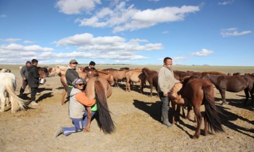 Zdjcie MONGOLIA / Dalanzagdag / Pustynia Gobi / Mleko na kumys