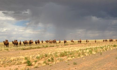 Zdjecie MONGOLIA / - / Na stepie:-) / Konkurs - warto marzy - Podr na wielki step - Mongolia 