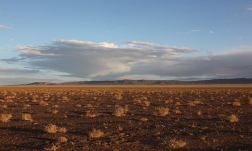 Zdjecie MONGOLIA / Omnogov / Gobi / Barwy pustyni