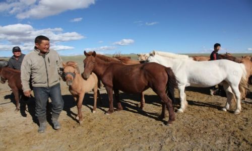 Zdjcie MONGOLIA / Dalanzadgad / W stepie / Hodowca
