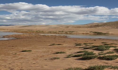 Zdjecie MONGOLIA / Dalanzadgad / Gobi / Troch wody na pustyni
