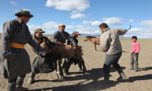 Zdjecie MONGOLIA / Dalanzadgad / Gurvan Saikhan, w stepie / ycie codzienne nomadw