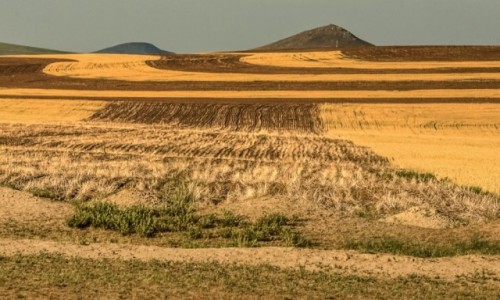 Zdjęcie MONGOLIA / płn. Mongolia / płn.Mongolia / Pola.