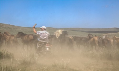 Zdjecie MONGOLIA / pn. Mongolia / pn.Mongolia / Pasterz...