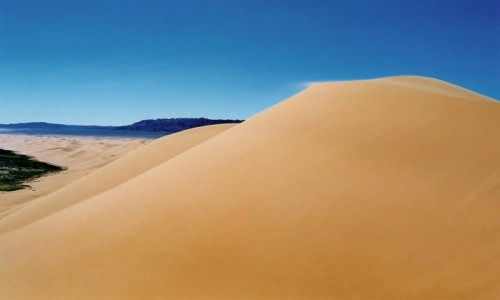 Zdjecie MONGOLIA / Pustynia Gobi /  Khongoryn Els (Singing Sands) / Wydmy Khongoryn Els