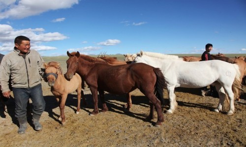Zdjcie MONGOLIA / Dalanzadgad / Gurvan Saikhan / Dumny hodowca