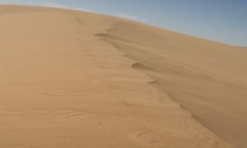 Zdjecie MONGOLIA / brak / okolice Erdene / duny na Pustyni Gobi