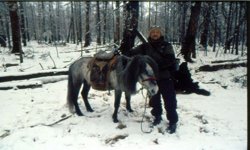 Zdjęcie MONGOLIA / okolice jez.hovsgol / step / mongolskie koniki