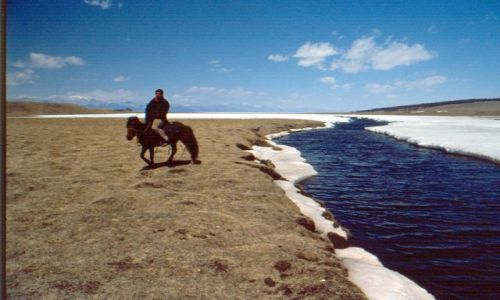 Zdjecie MONGOLIA / okolice jez.hovsgol / step / mongolskie koniki
