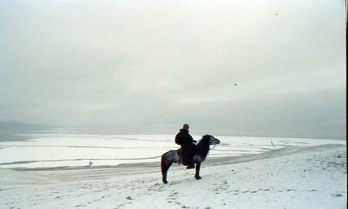 Zdjęcie MONGOLIA / okolice jez.hovsgol / step / mongolskie koniki