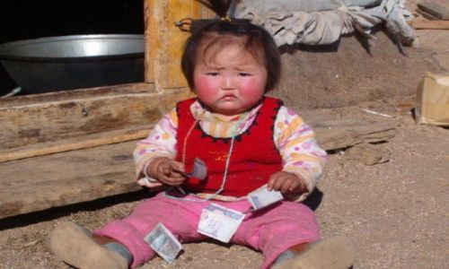 MONGOLIA / brak / pustynia Gobi / Przydrona jadodajnia