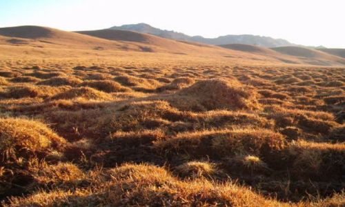 MONGOLIA / brak / plnocna Mongolia / Gorkhi Terelj