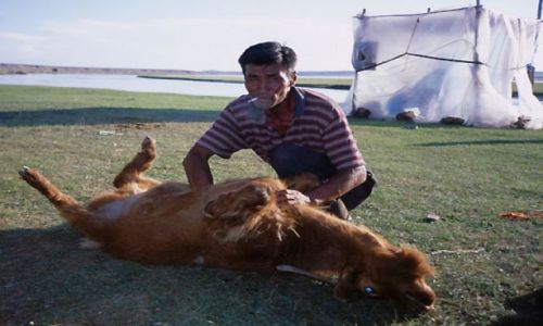 Zdjęcie MONGOLIA / zachodnia Mongolia / Mongolia / szybki koniec