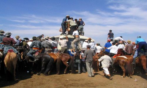Zdjecie MONGOLIA / Ulan Bator / stepy - 30km od stolicy / obserwatorzy