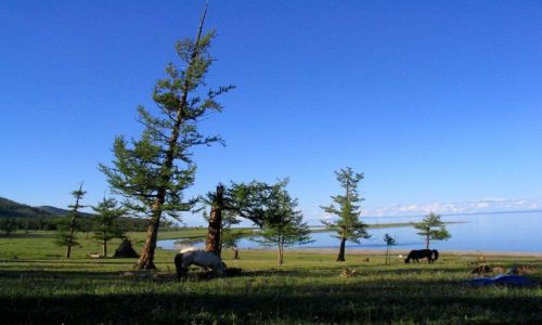 Zdjecie MONGOLIA / CHUWSGUL NUUR / CHUWSGUL NUUR / raj na ziemi 2