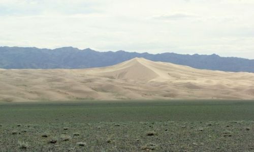 Zdjecie MONGOLIA / Gobi / Chongoryn Els / Wielka wydma
