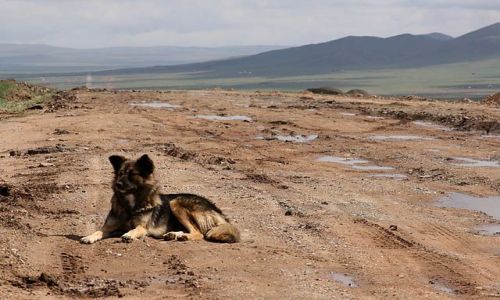 Zdjęcie MONGOLIA / brak / srodkowa Mongolia / mongolskie drogi