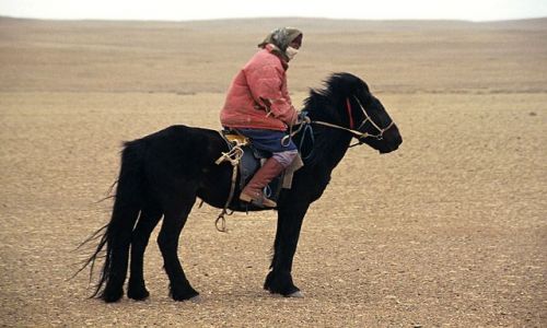 Zdjęcie MONGOLIA / brak / okolice Gobi / pod wiatr...