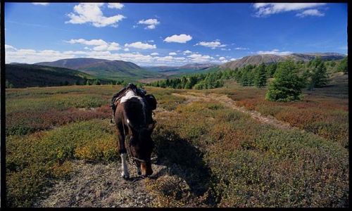 Zdjecie MONGOLIA / brak / pnocna Mongolia / przestrze