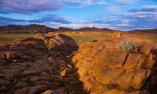Zdjecie MONGOLIA / brak / Gdzieś po drodze na Gobi... / Wschód słońca na półpustyni